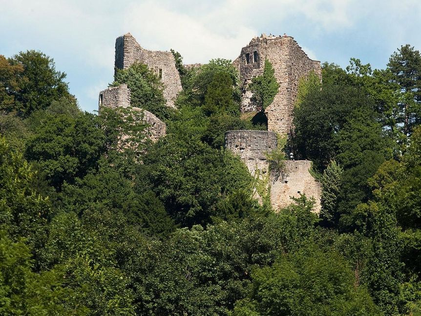 Burguine Badenweiler und weidende Kühe