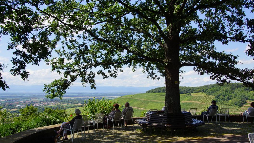 Kur- und Schlosspark Badenweiler, Aussichtspunkt „Vogesenblick“